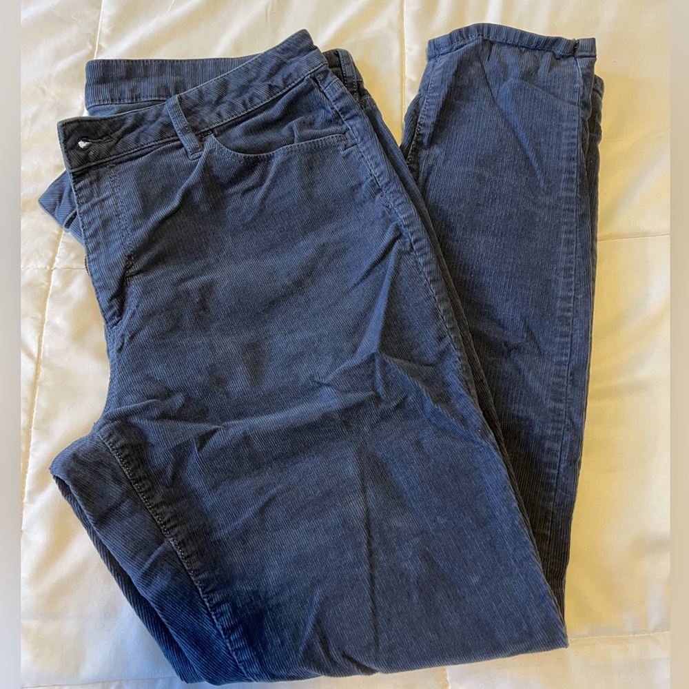 Ann Taylor LOFT Slate Blue Corduroy Curvy Skinny Pants